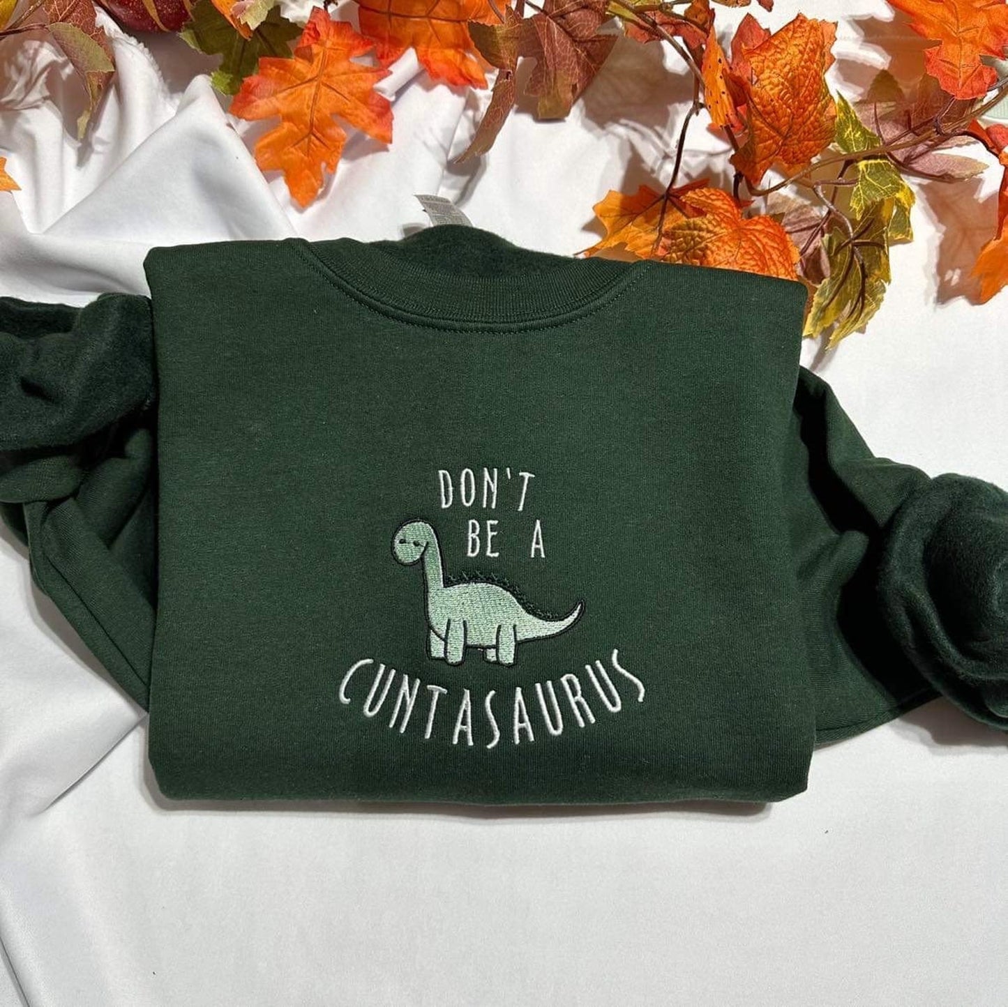 Don't be a cuntasaurus embroidered sweatshirt; Funny Dinosaur embroidered crewneck