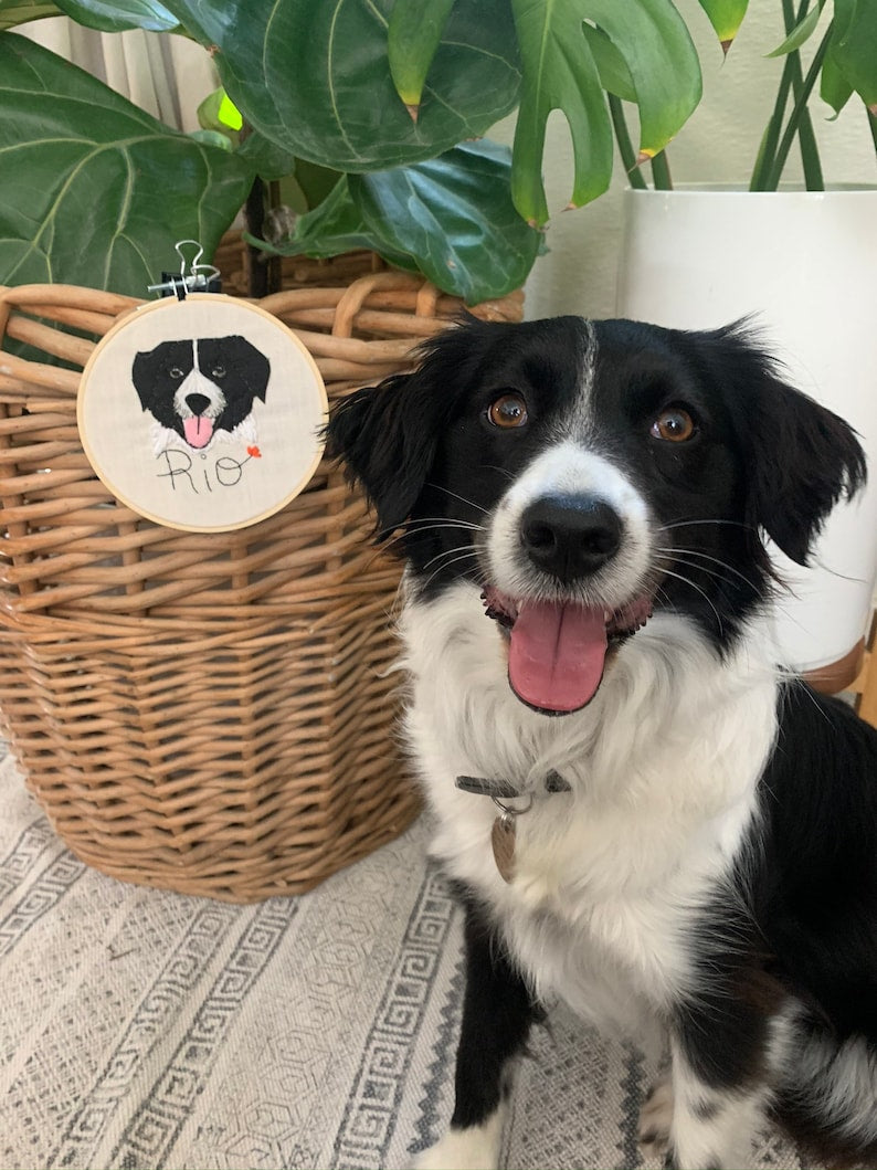 Custom Pet Portrait Embroidery Hoop, Wall Hanging Decor