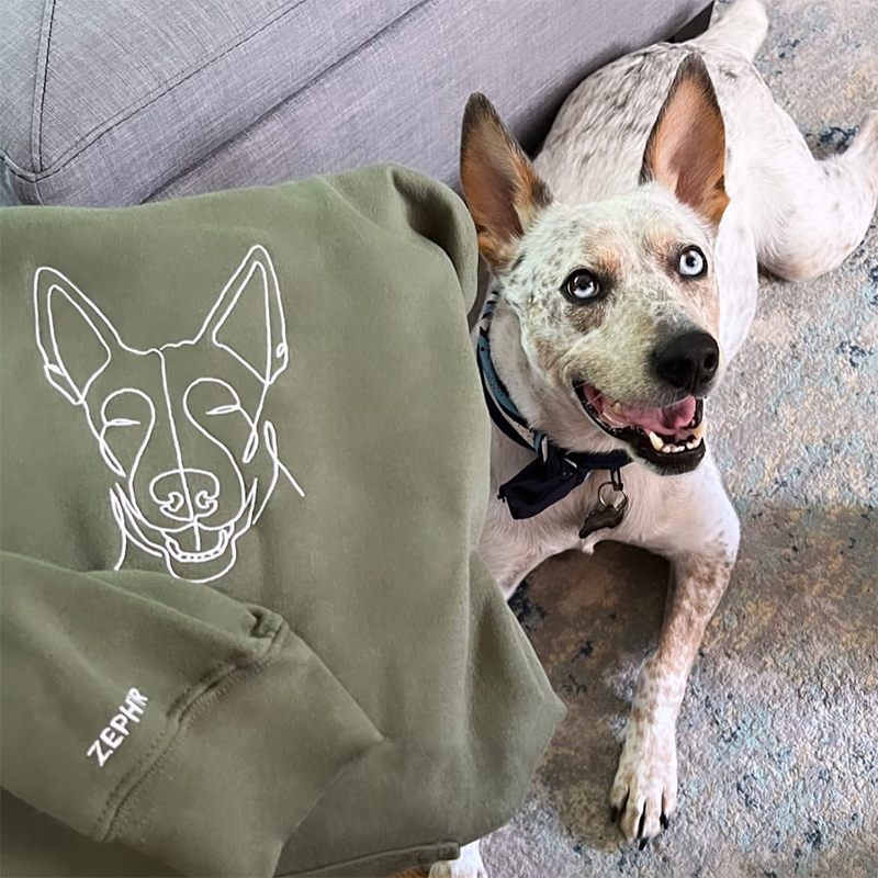 Custom Embroidered Pet Hoodie