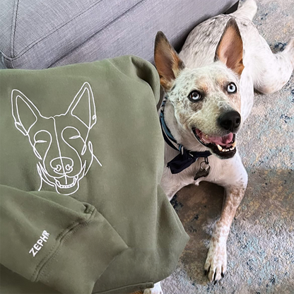 Custom Embroidered Pet Hoodie